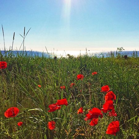 Strandresort Prora - Wg 114 Mit Meerblick Binz Esterno foto